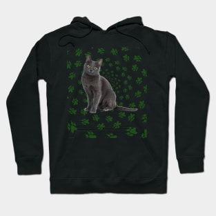 THE CAT LOVE Hoodie